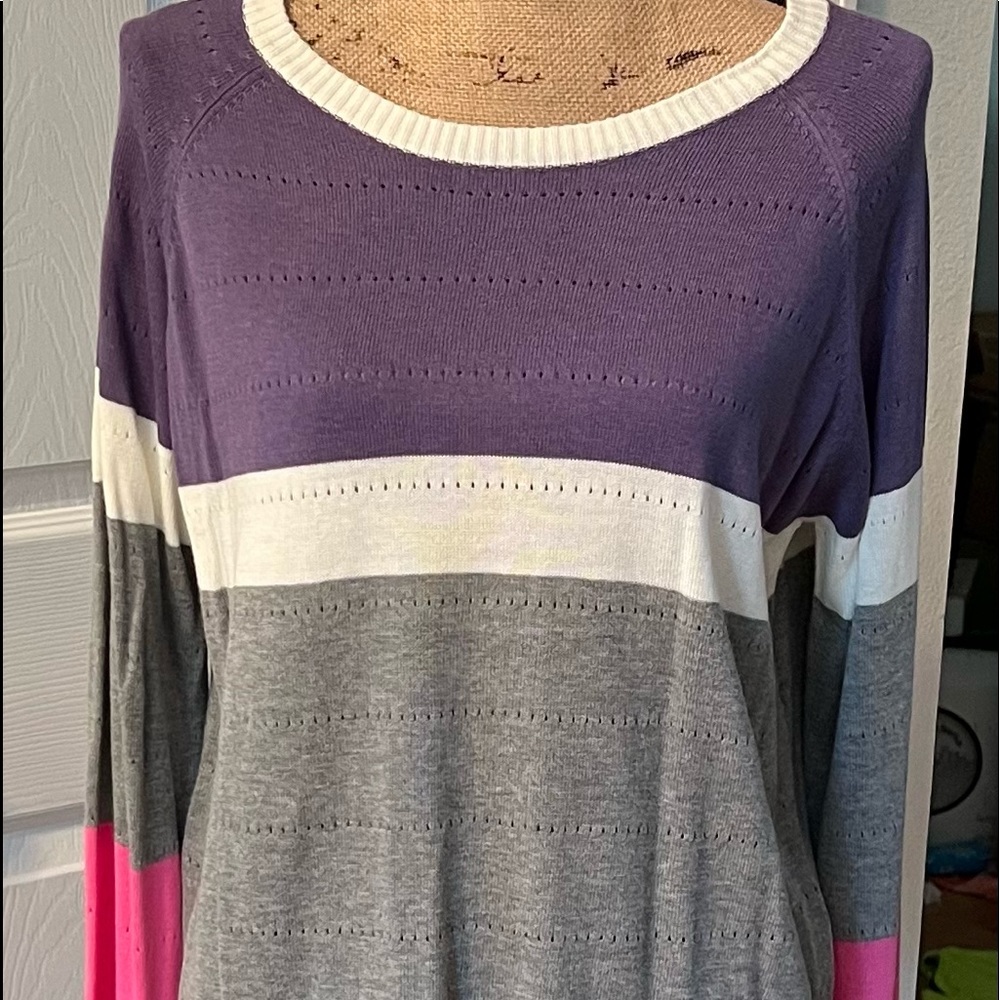 NWOT Fantastic Fawn Color Block Sweater